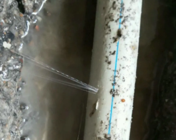 黔西南卫生间测漏水多少钱