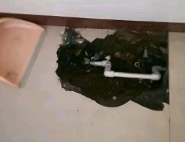 黔西南卫生间测漏水多少钱